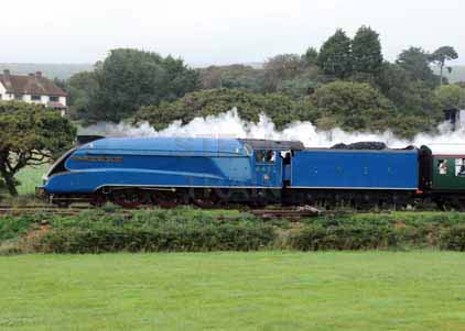Purchase photo of 4492 DOMINION OF NEW ZEALAND (BITTERN) at Swanage Railway